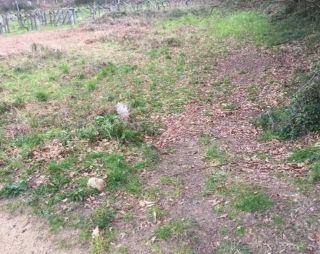 FINCA EN VENTA EN VILLASOBROSO