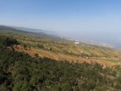 VENTA ICOD DE ALTO, LA CORONA