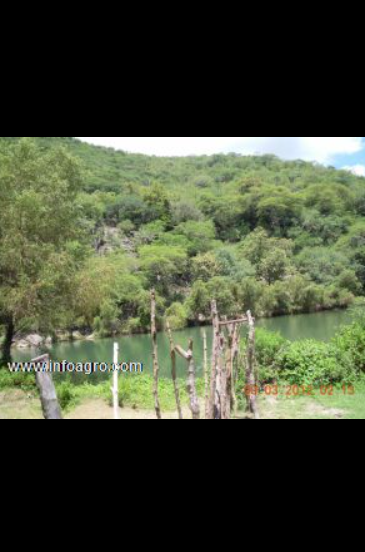 Se vende magnifico rancho ganadero de 1500 4000ha