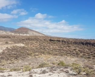 FINCA EN VENTA EN AS ERAS- CHARCO HONDO-FASNIA