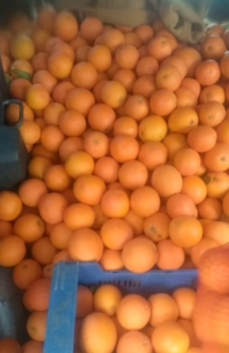 FRUTAS Y VERDURAS A DOMICILIO
