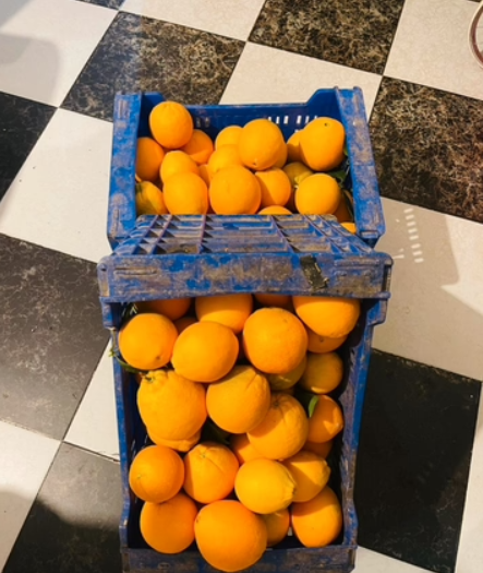 FRUTAS Y VERDURAS A DOMICILIO