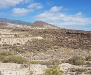 FINCA EN VENTA EN AS ERAS- CHARCO HONDO-FASNIA