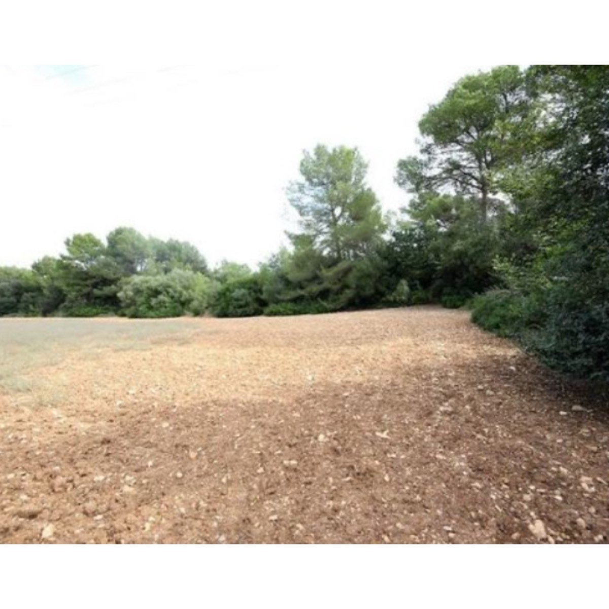 VENDO TERRENO EN LA ZONA DE SON SEGARUT