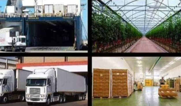 MANAGER,OPERACIONES EXPORT IMPORT.