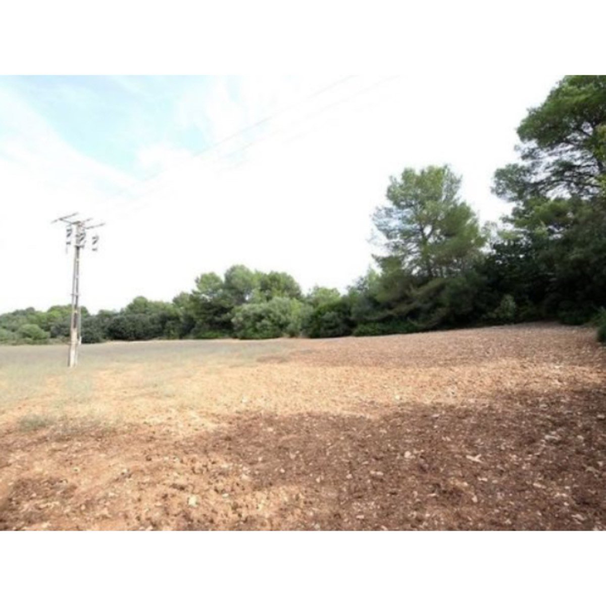 VENDO TERRENO EN LA ZONA DE SON SEGARUT