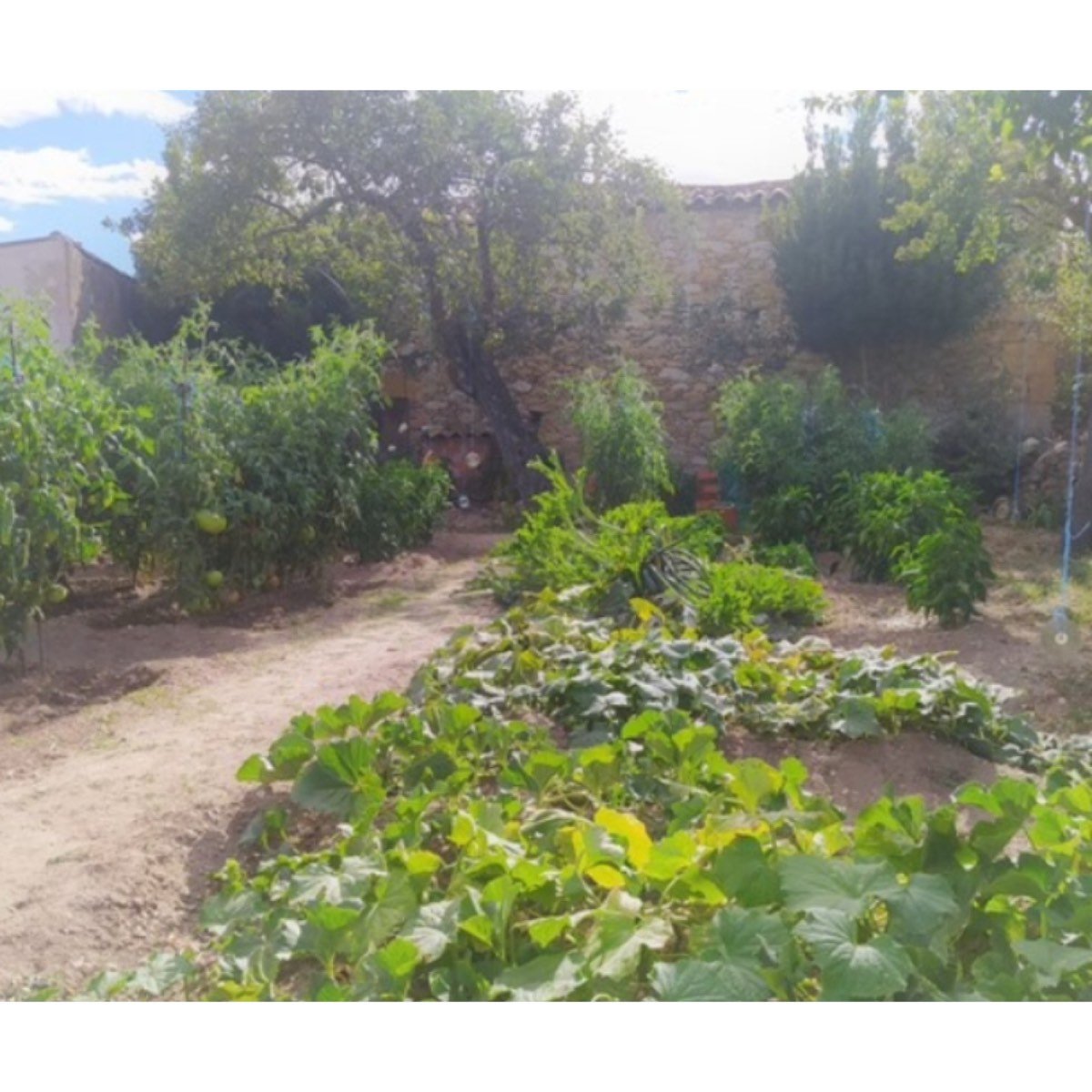 VENTA CASA RURAL EN EL ARCO, 675 M2