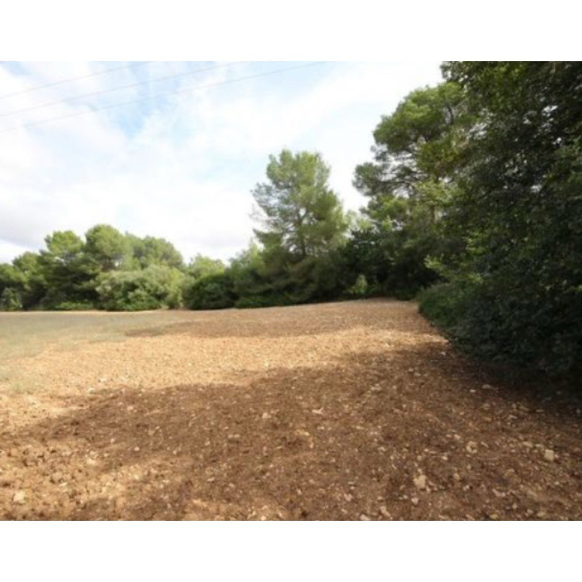 VENDO TERRENO EN LA ZONA DE SON SEGARUT