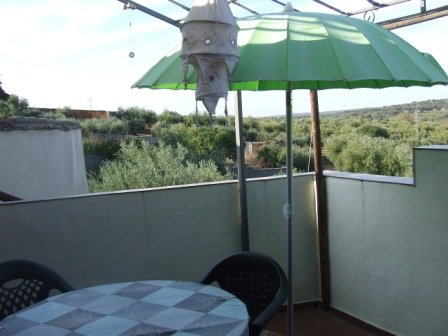 21 roof tarrace (1)