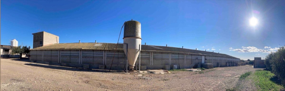 Granja cerdos 225.000€