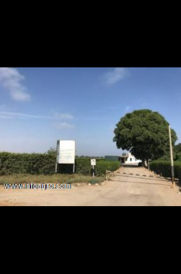 Se vende fundo agricola e 20.66 hectareas