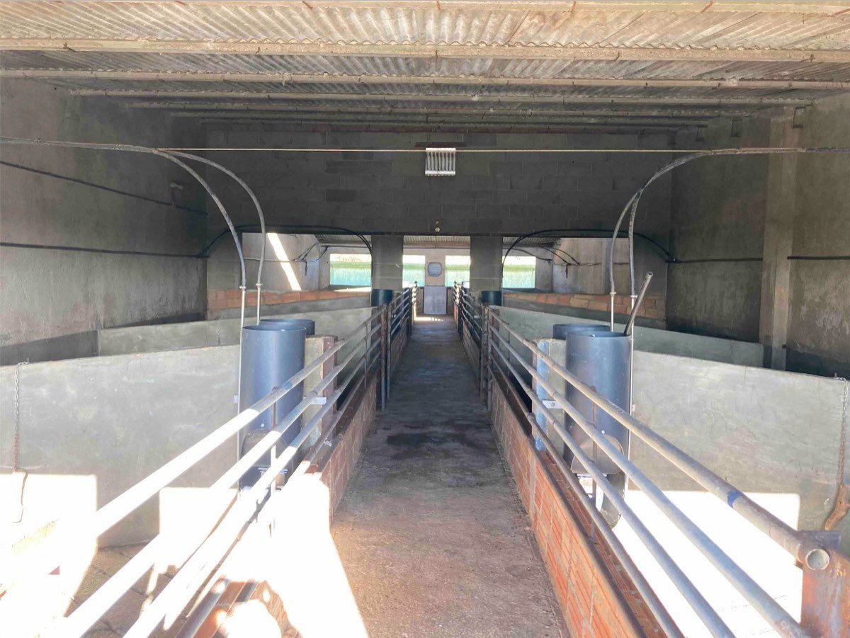Granja cerdos 225.000€