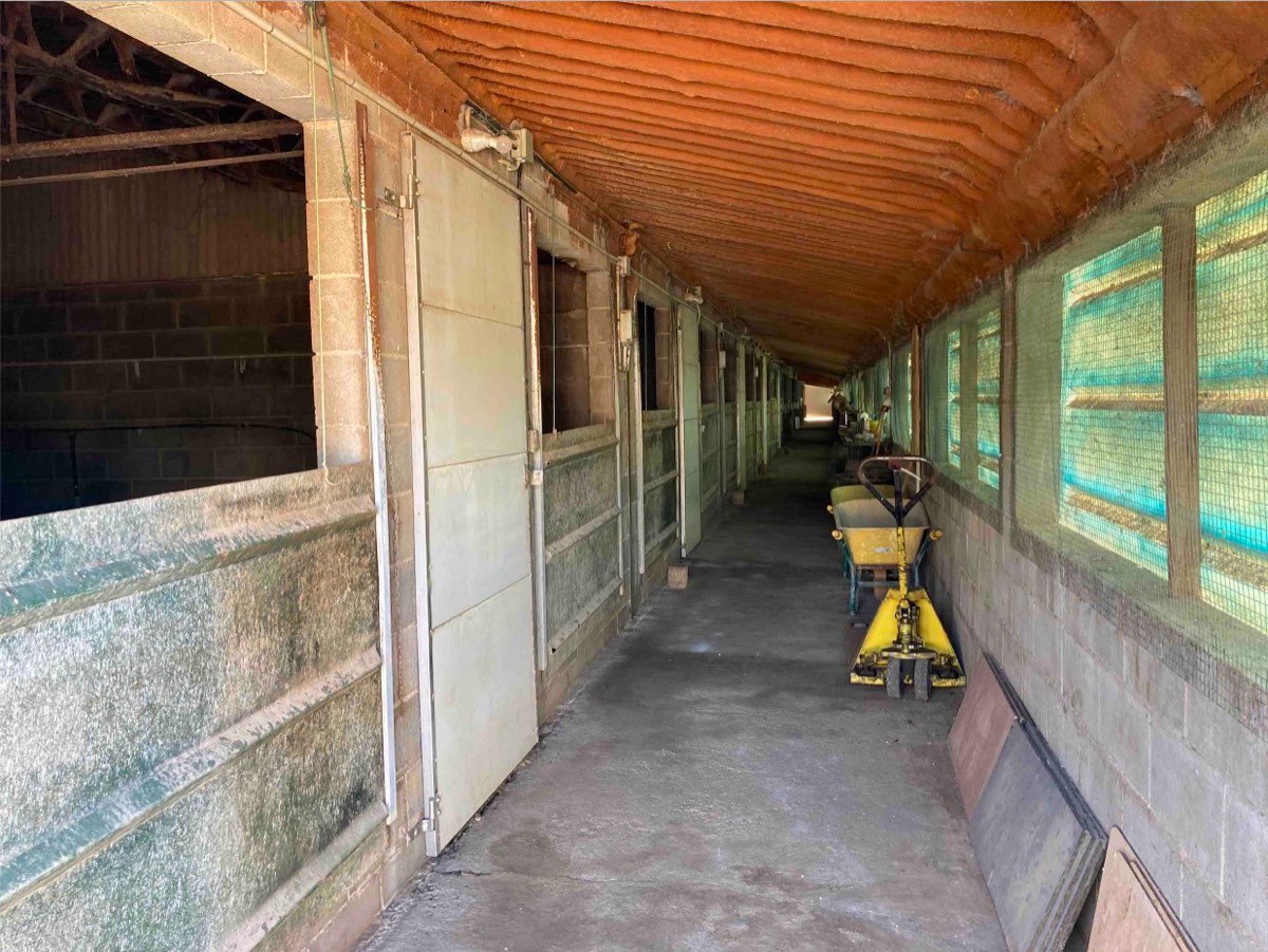 Granja cerdos 225.000€