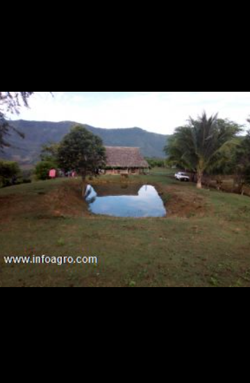 Se vende terreno agricola con proyectos