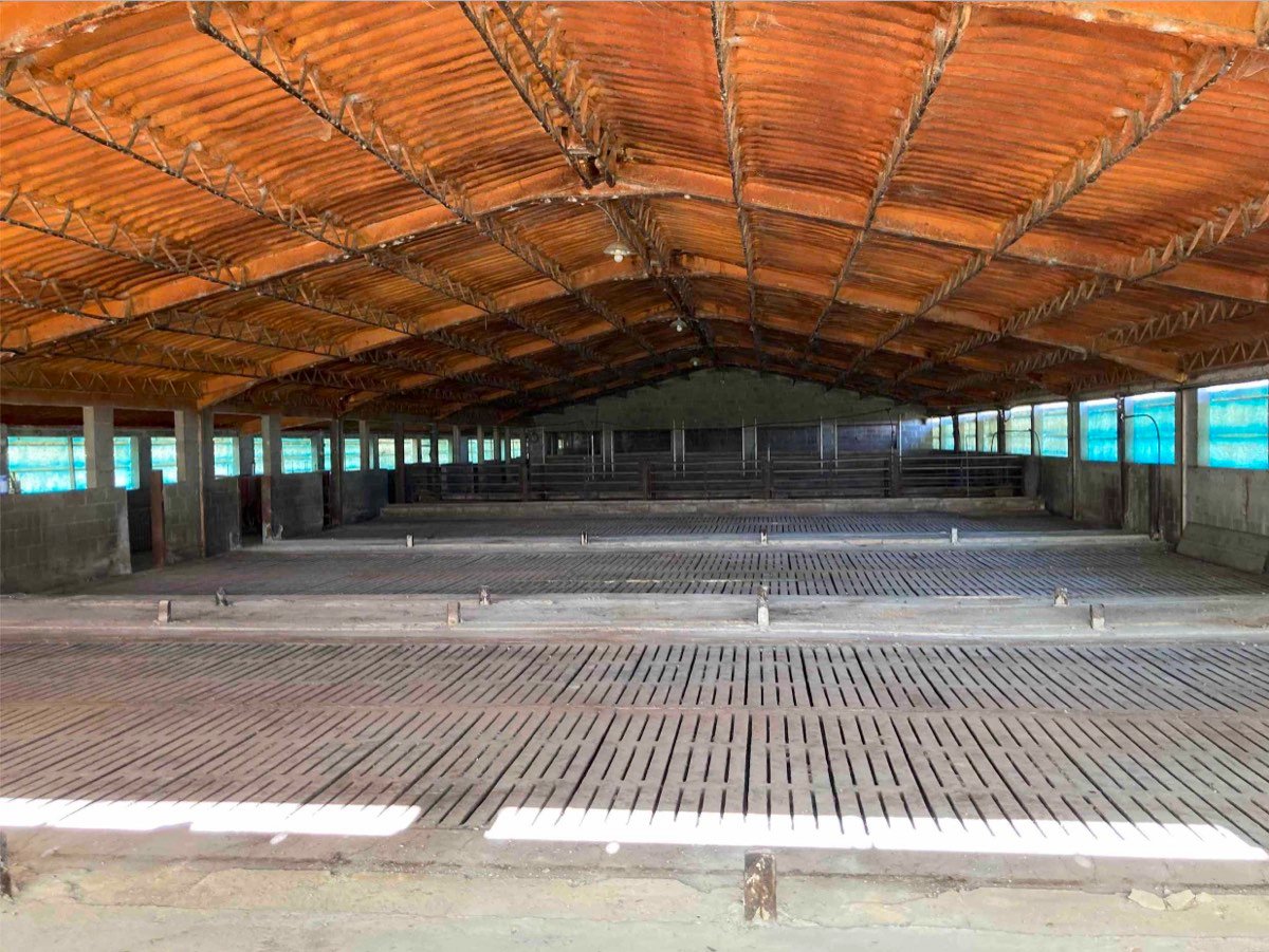 Granja cerdos 225.000€