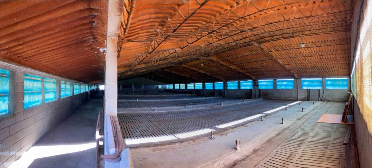 Granja cerdos 225.000€