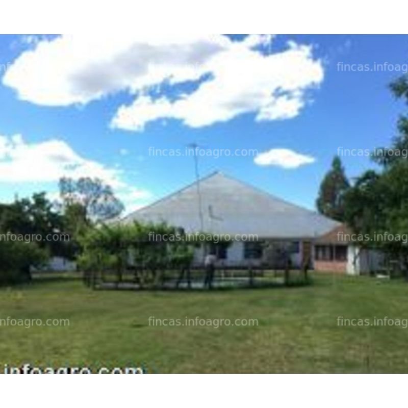 Se vende chile casa antigua con bodega de vino
