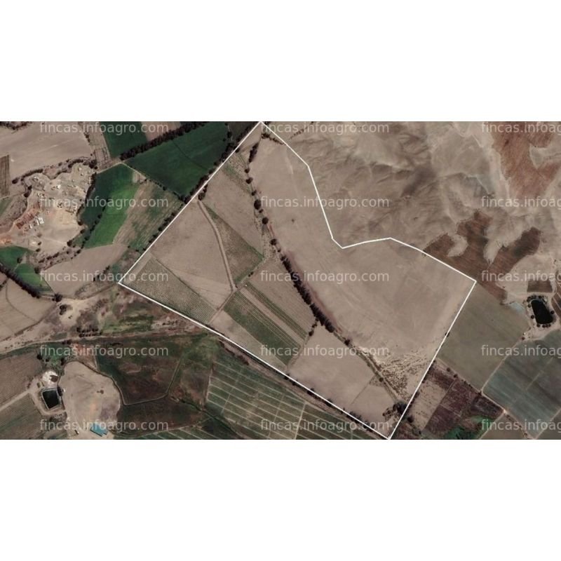 A la venta Fundo en Irrigación San Felipe - Véguet