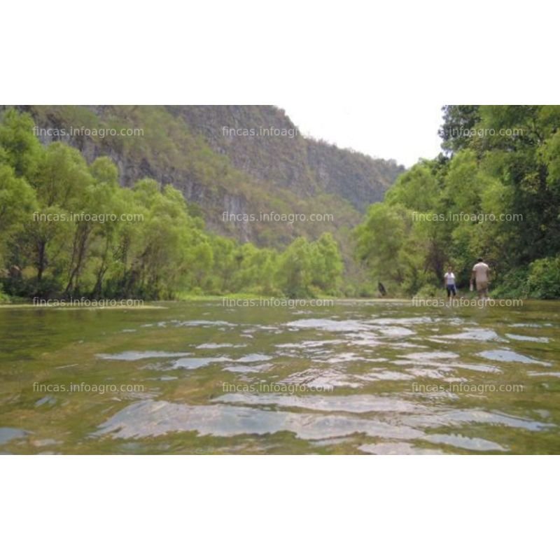 A la venta magnifico rancho ganadero 1500-4000 ha