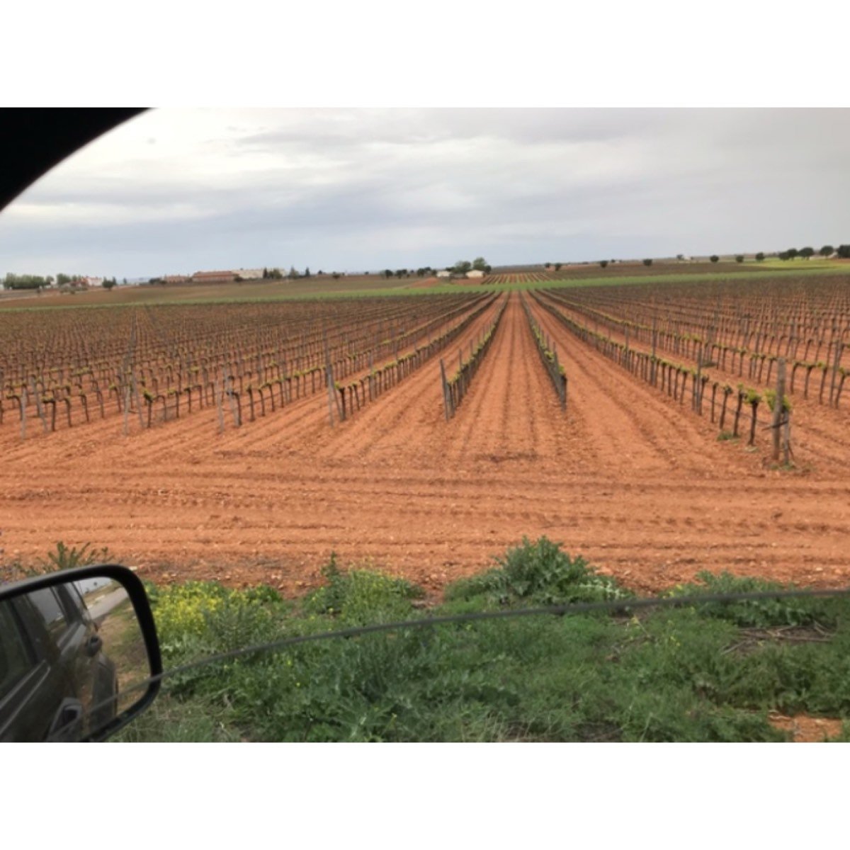 FINCA EN CARRETERA SOCUELLAMOS A LAS MESAS