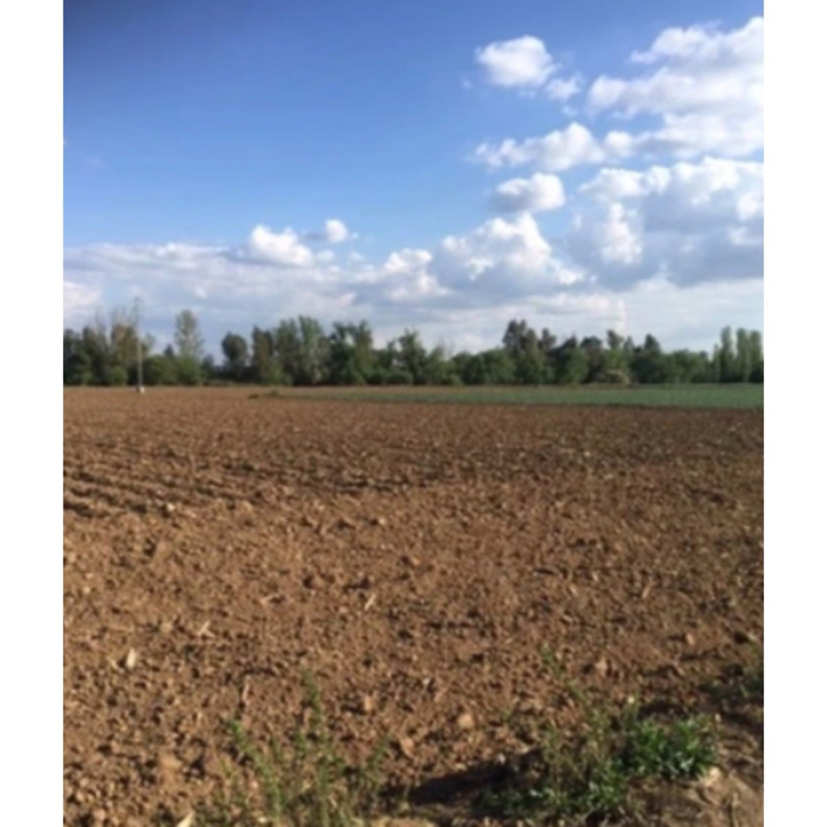 FINCA REGADIO EN BADAJOZ