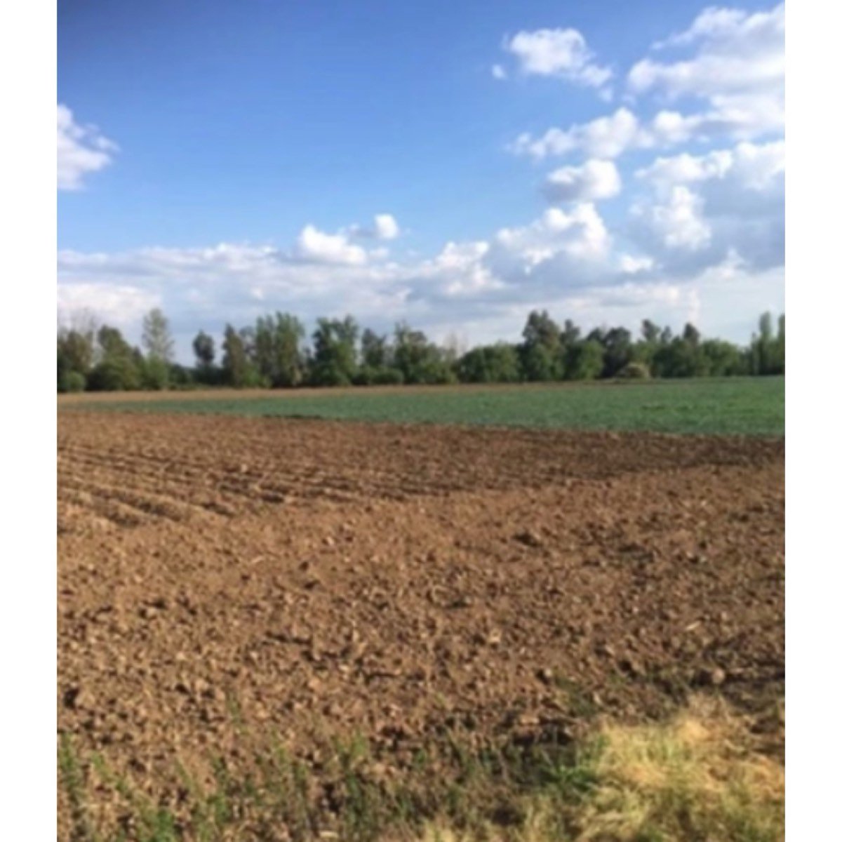 FINCA REGADIO EN BADAJOZ