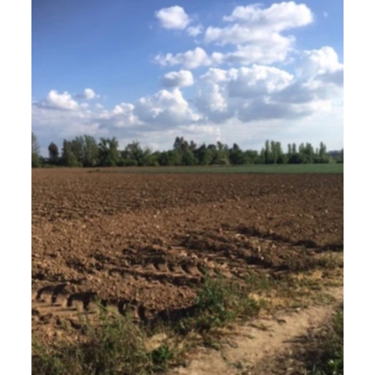 FINCA REGADIO EN BADAJOZ