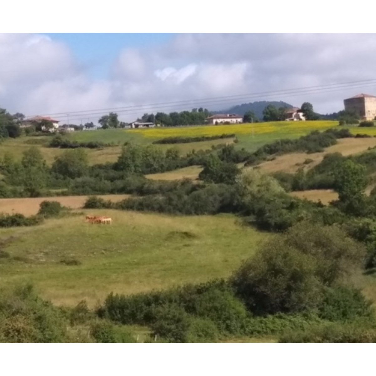 TERRENO URBANO, VIVIENDA, CASA RURAL
