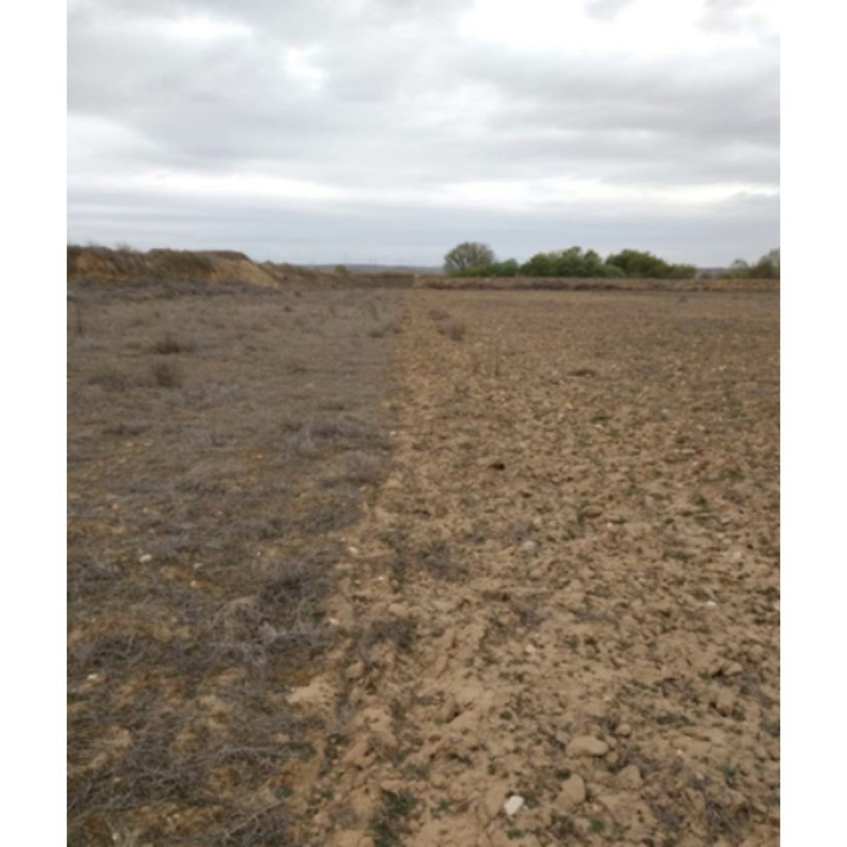 FINCA EN SAN MARTÍN DE LA VEGA