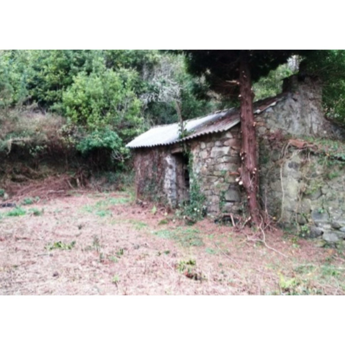 VIVIENDA EN ORTIGUEIRA - POUSADOIRO DE ARRIBA 6