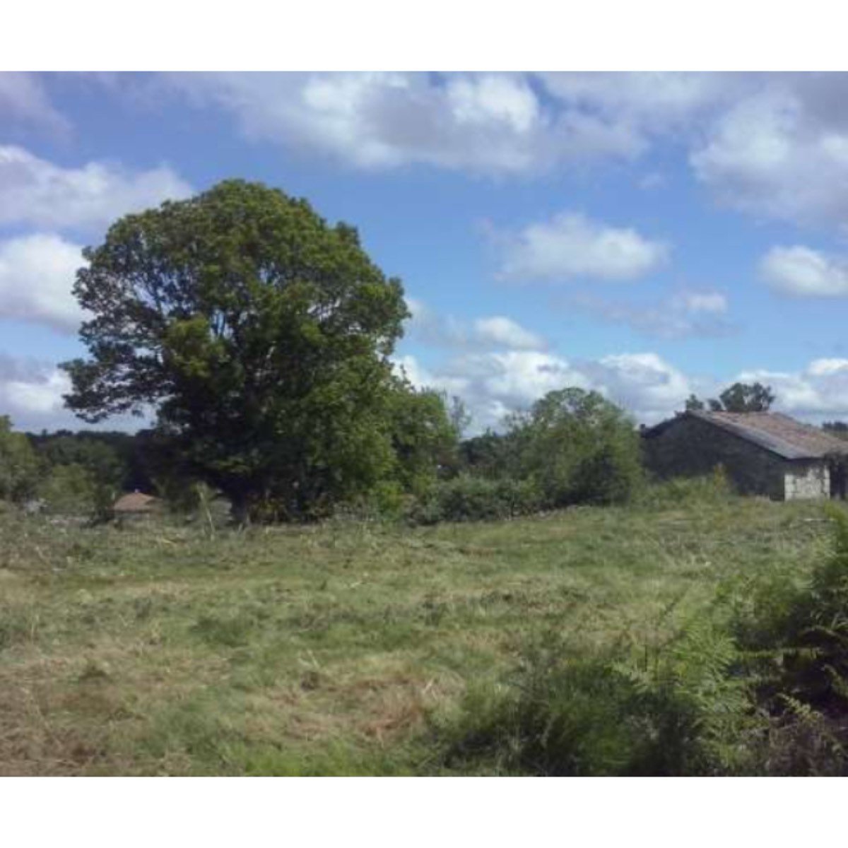 TERRENO A LA VENTA EN FERREIRA DE PANTON