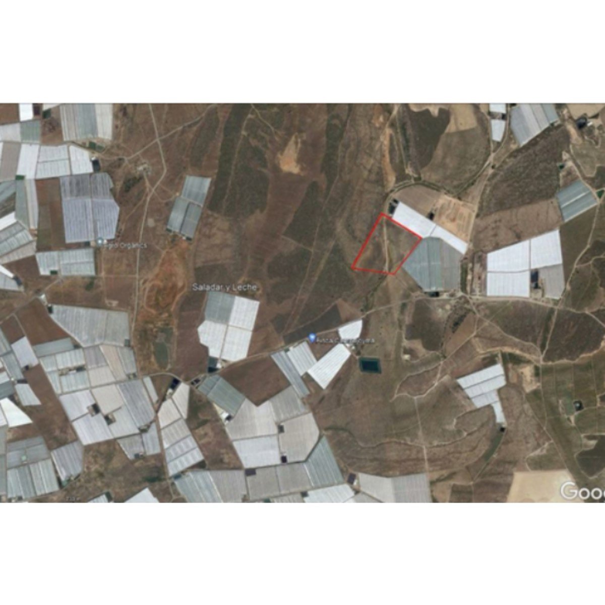 VENTA FINCA - SALADAR Y LECHE - NIJAR