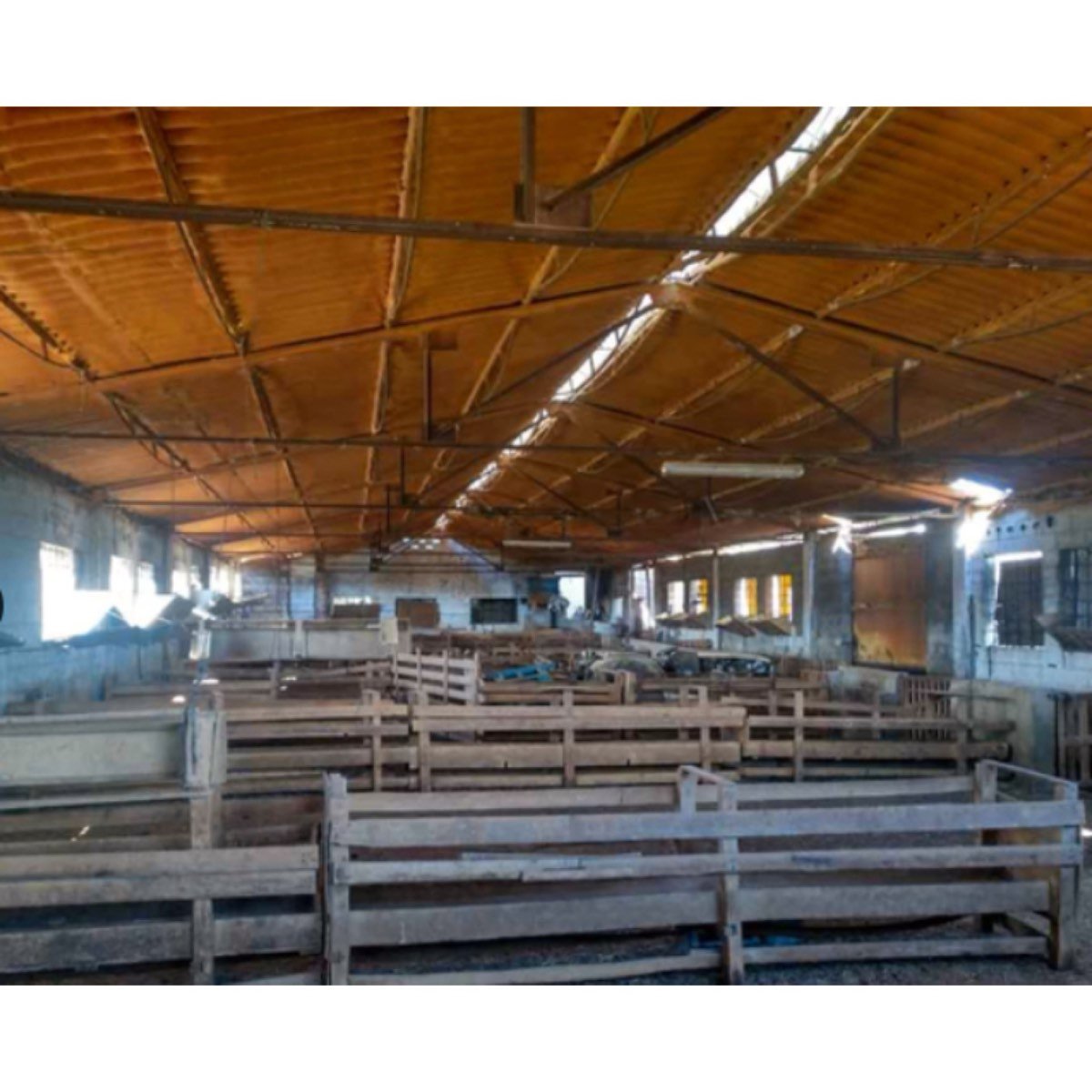 CORRAL BLANC