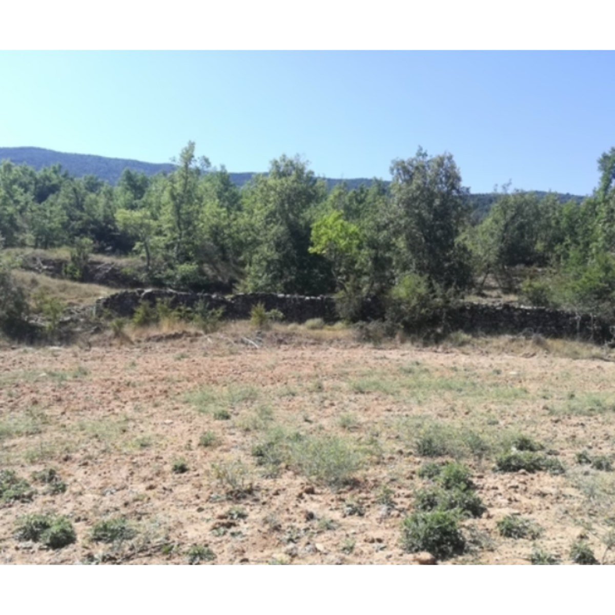 FINCA RUSTICA EN CALDEARENAS