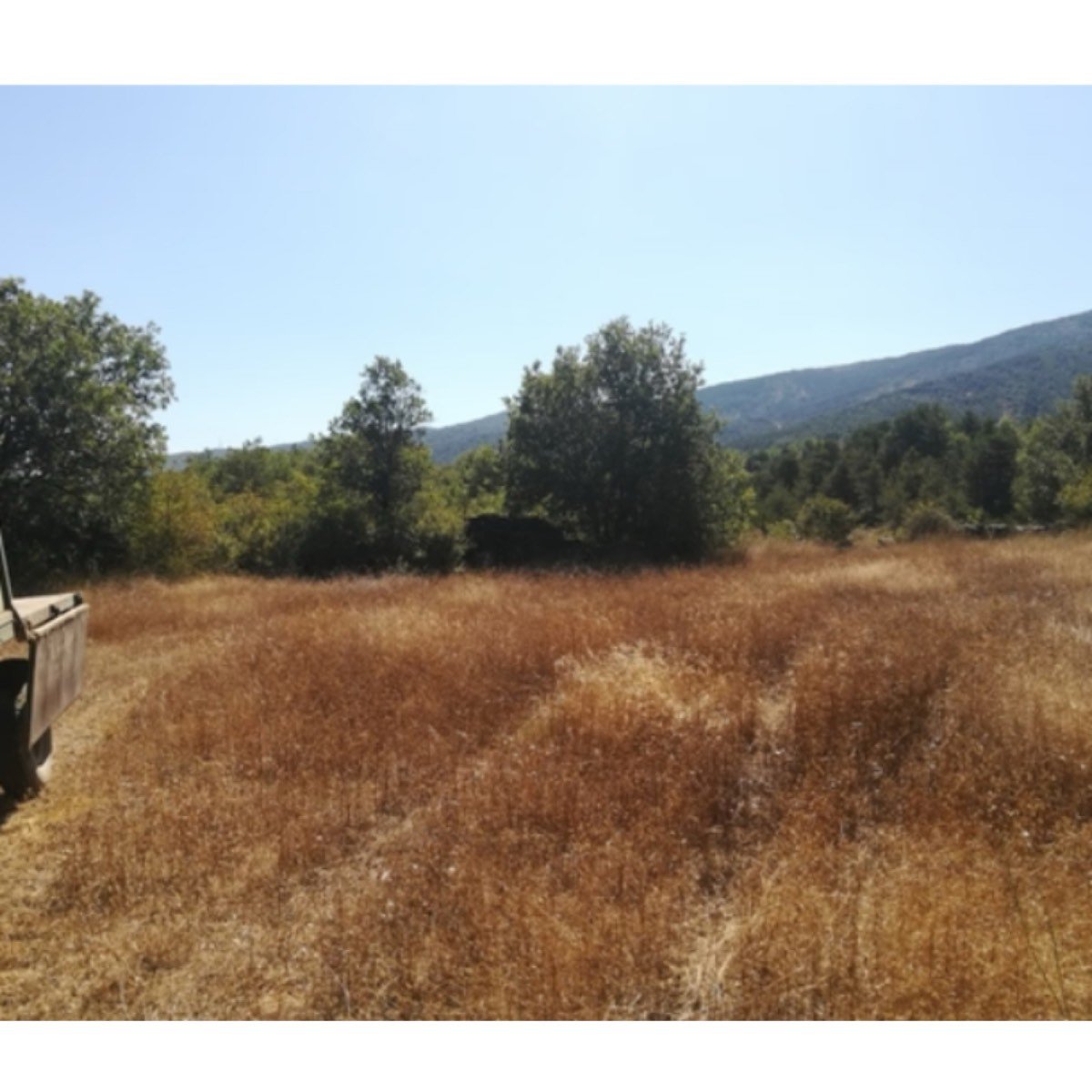 FINCA RUSTICA EN CALDEARENAS