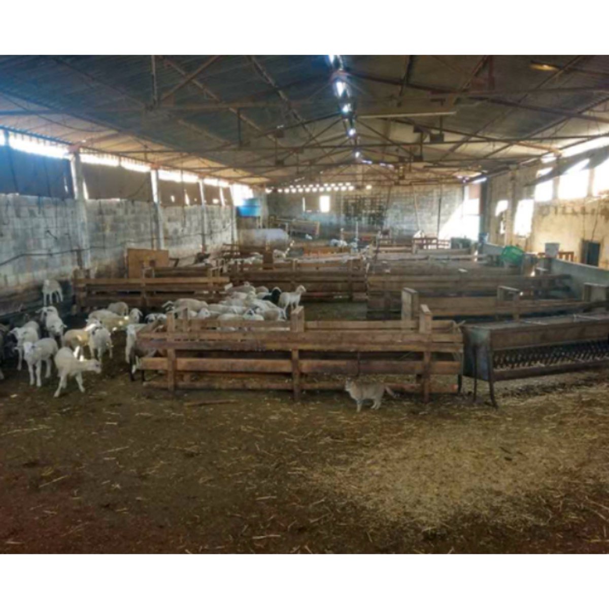 CORRAL BLANC