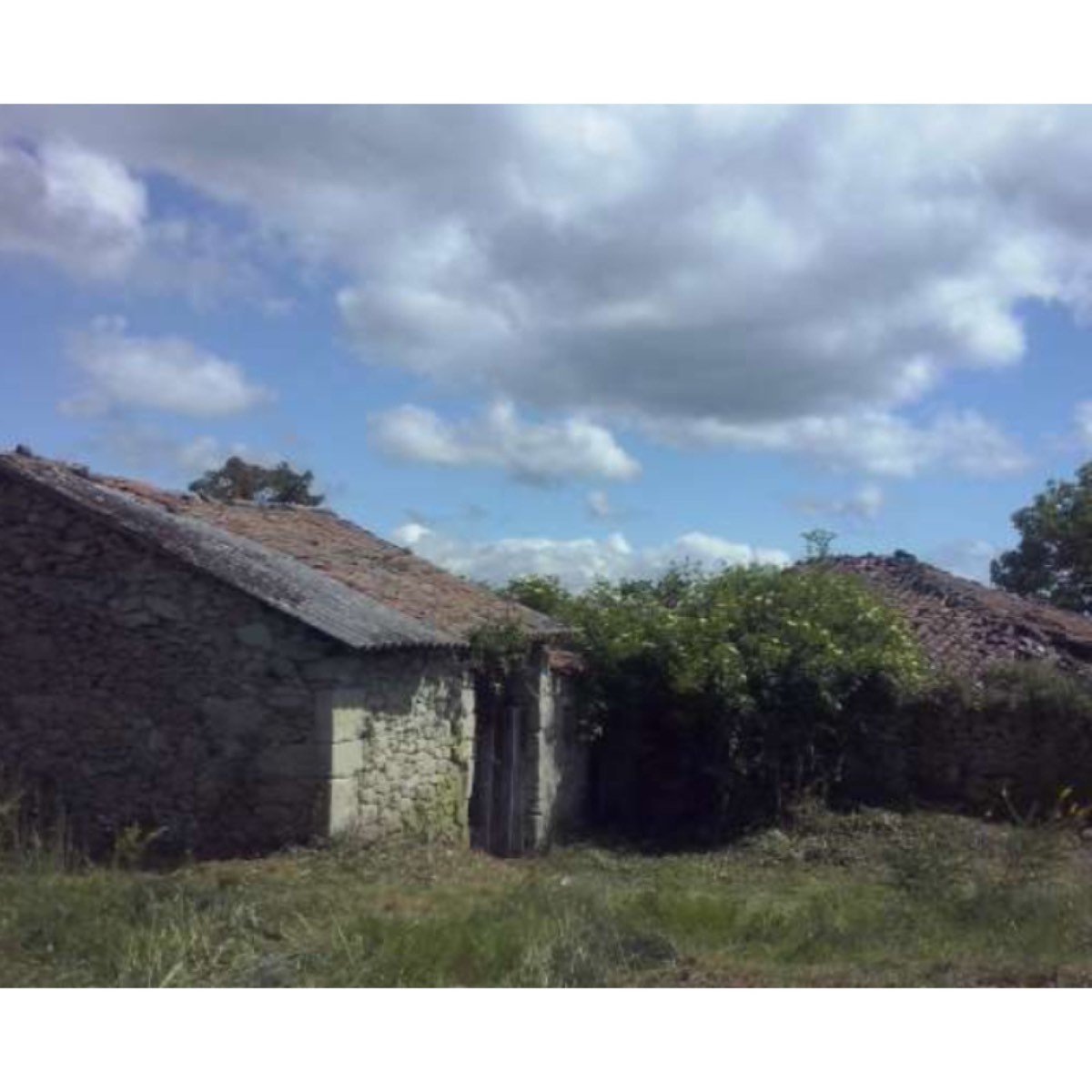 TERRENO A LA VENTA EN FERREIRA DE PANTON