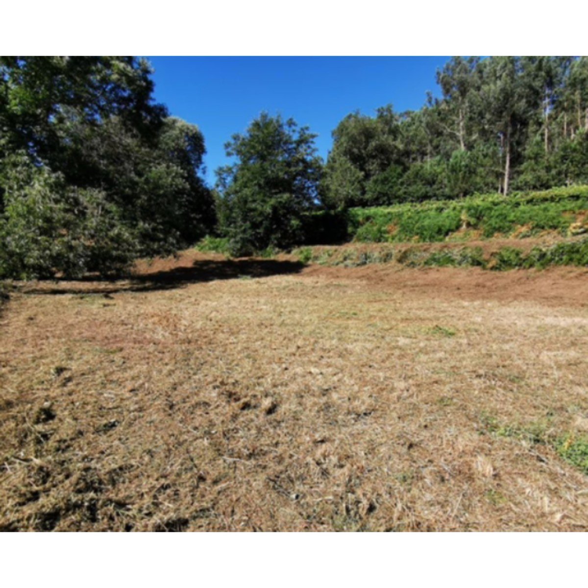 TERRENO EN VENTA EN TUI