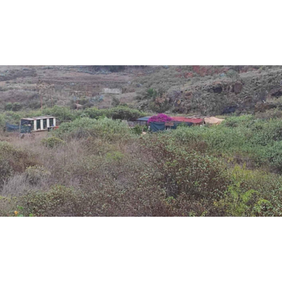 FINCA URBANIZABLE CERCA DE RIAZA