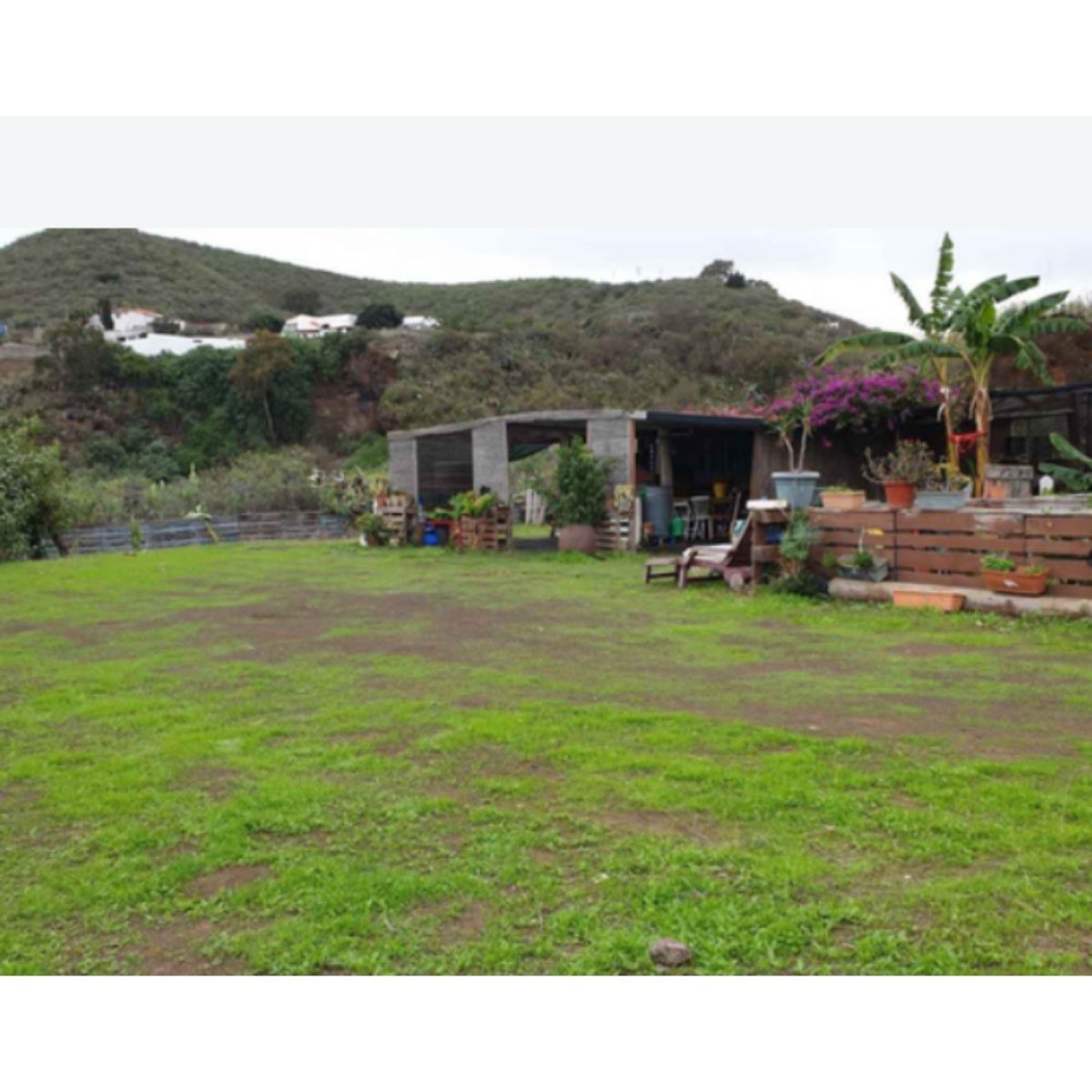 FINCA EN CUESTA DE LA ARENA A 4 K (ARUCAS)