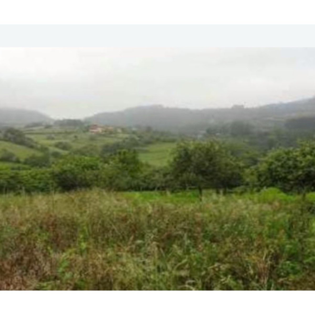 VENDO PRADO EN LLOSA NUEVA, VILLAVICIOSA