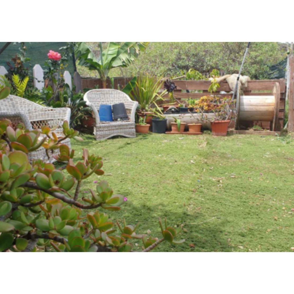 FINCA URBANIZABLE CERCA DE RIAZA