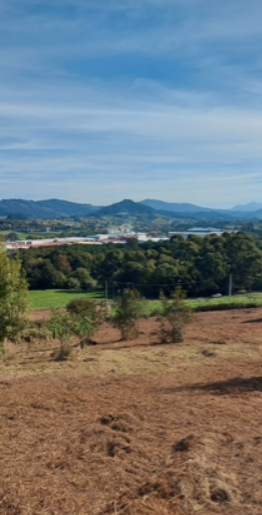 VENTA DE TERRENO RURAL EN ZAMUDIO