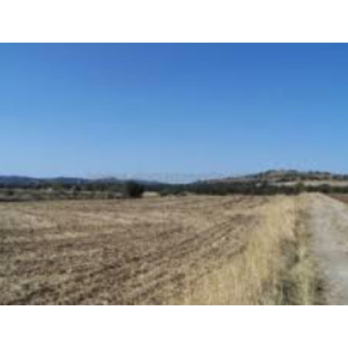 TERRENO RUSTICO EN VENTA EN TOTANA