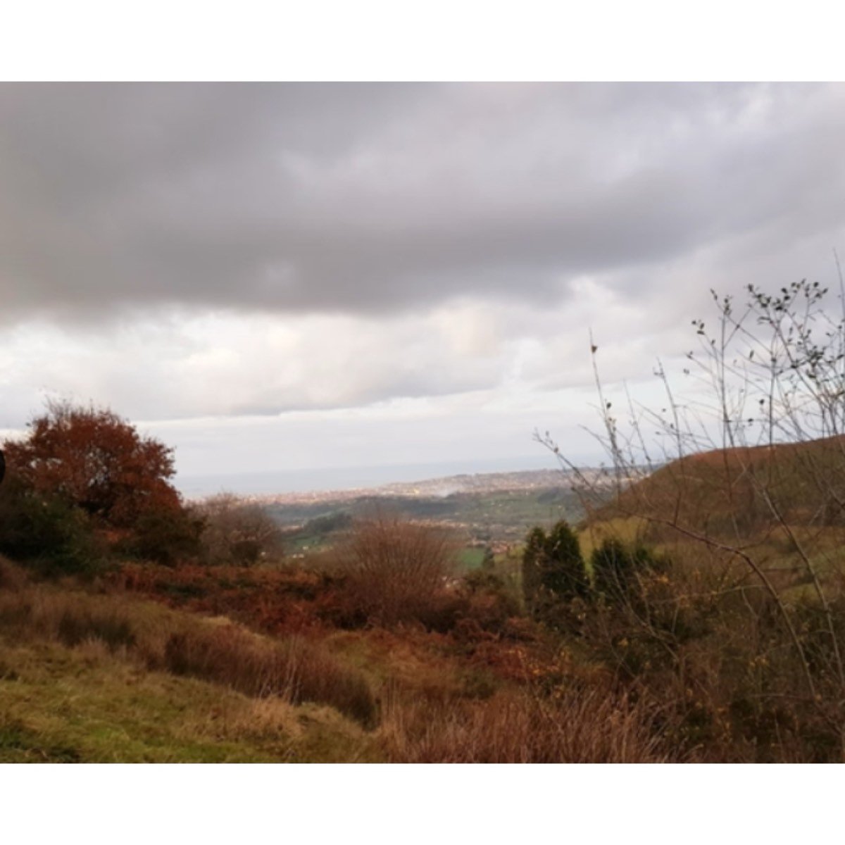 SE VENDE FINCA EN LAVANDERA ( GIJÓN)