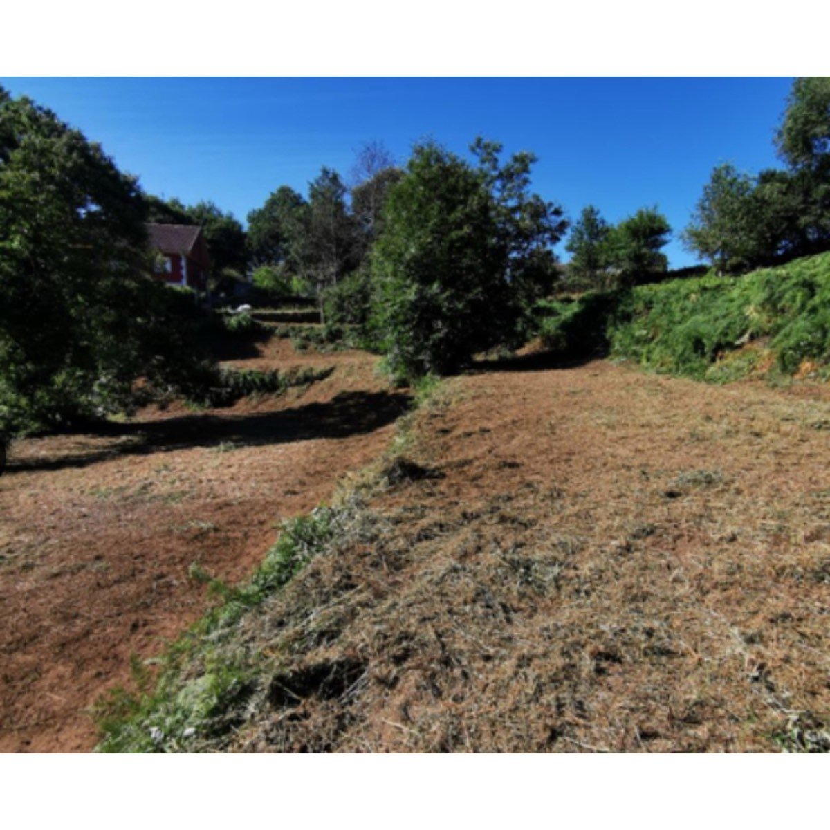 SE VENDE TERRENO EN TUI
