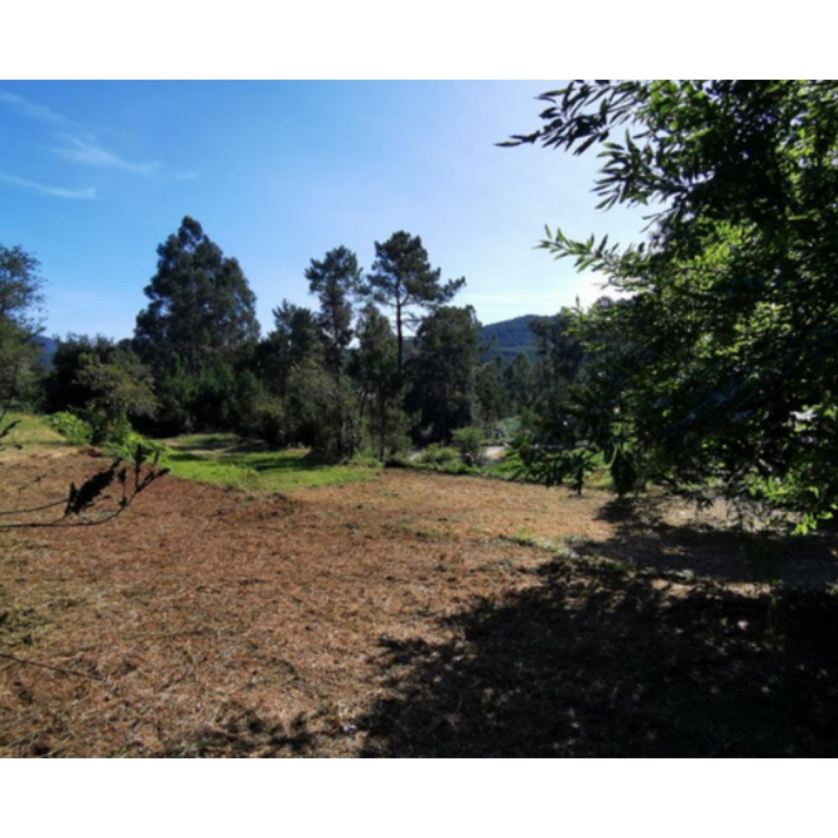 SE VENDE TERRENO EN TUI
