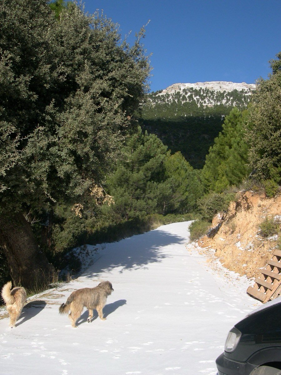Camino y Calar nevado3