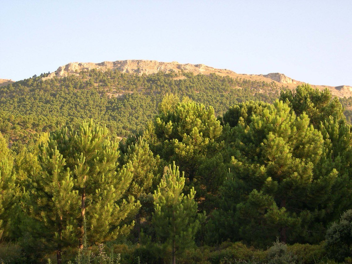 EL CALAR