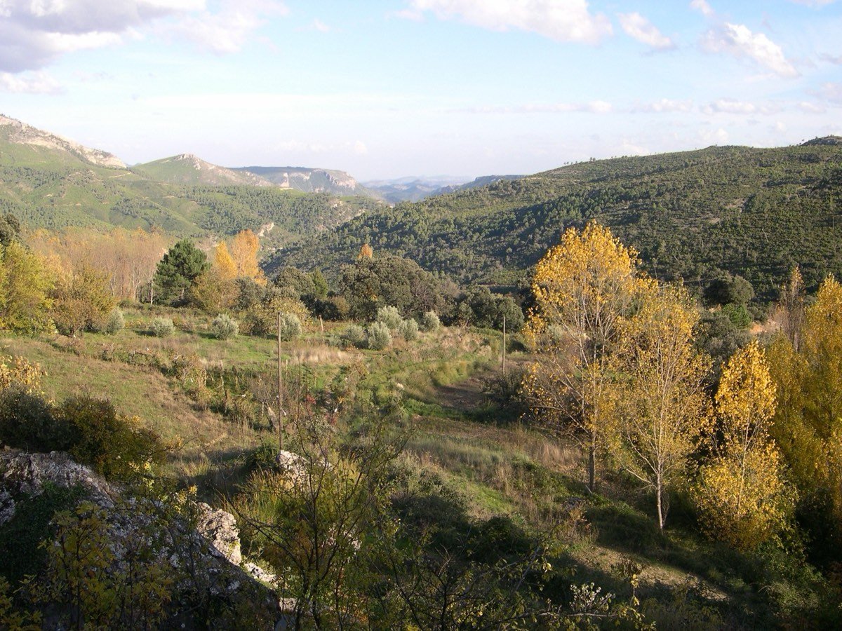 Vistas